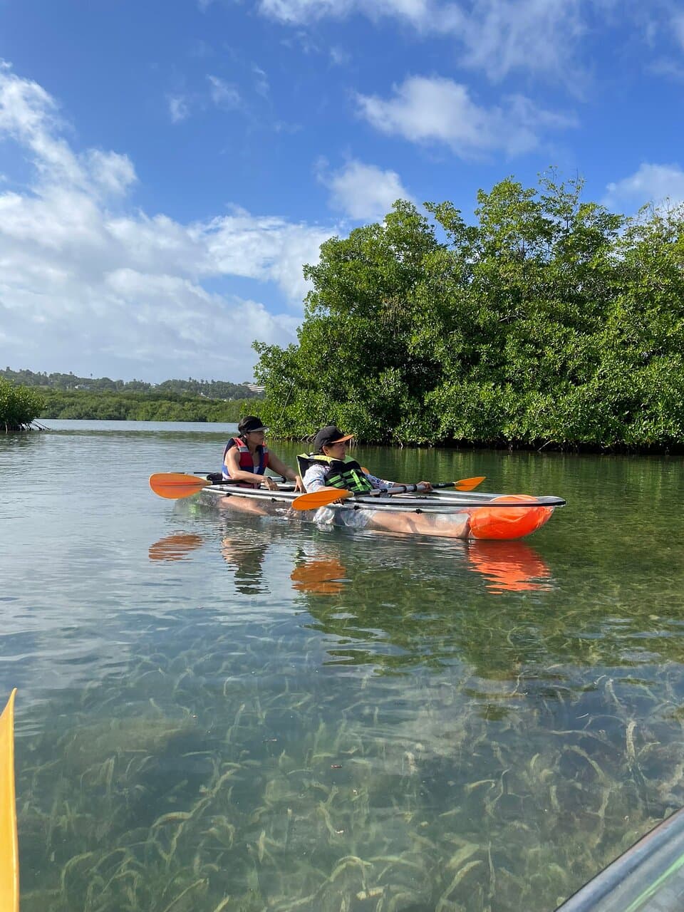 Old Point Mangrove Regional Park
