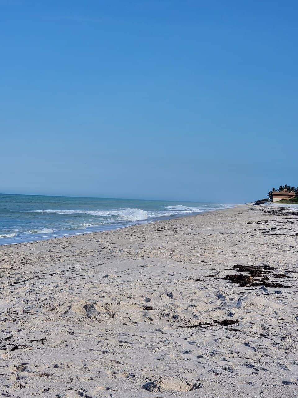 Sea Turtle Nesting Sanctuary