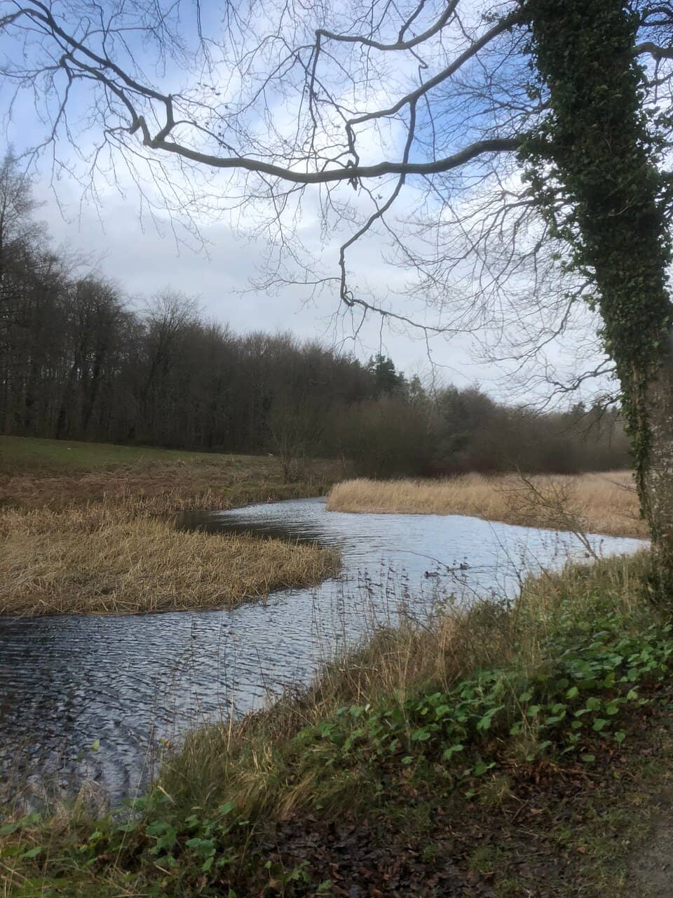 Lakeside Trail