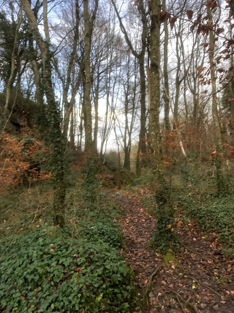 Children's Play Area & Fairy Trail
