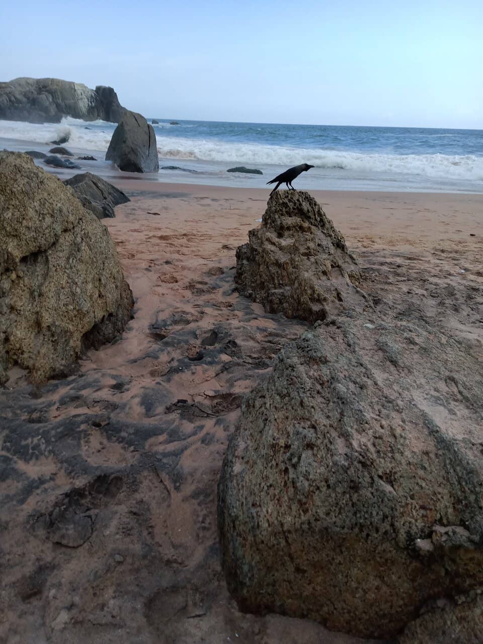Rocky Shoreline & Caves