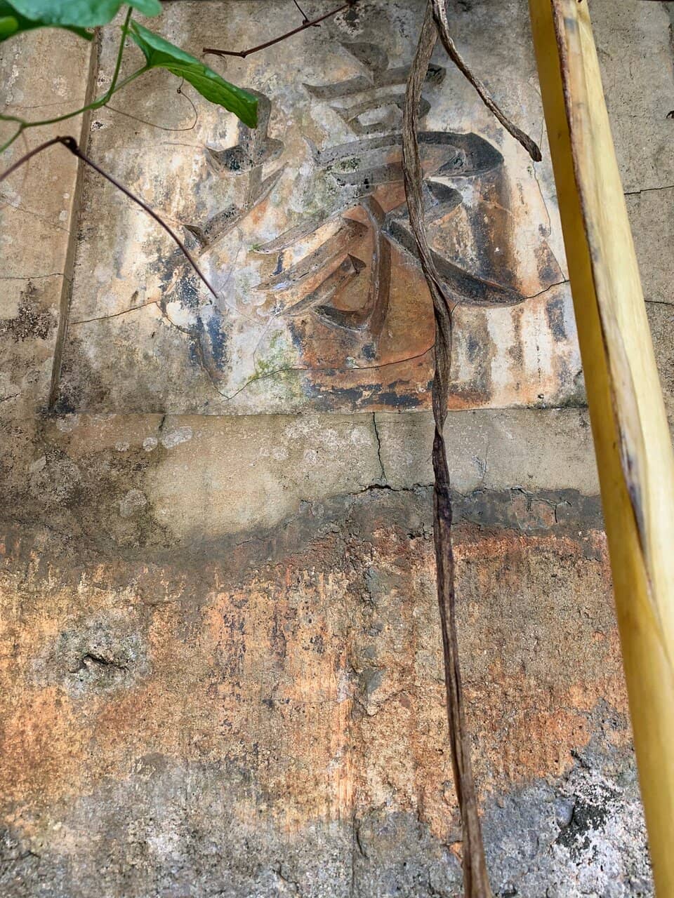 Vertical photo