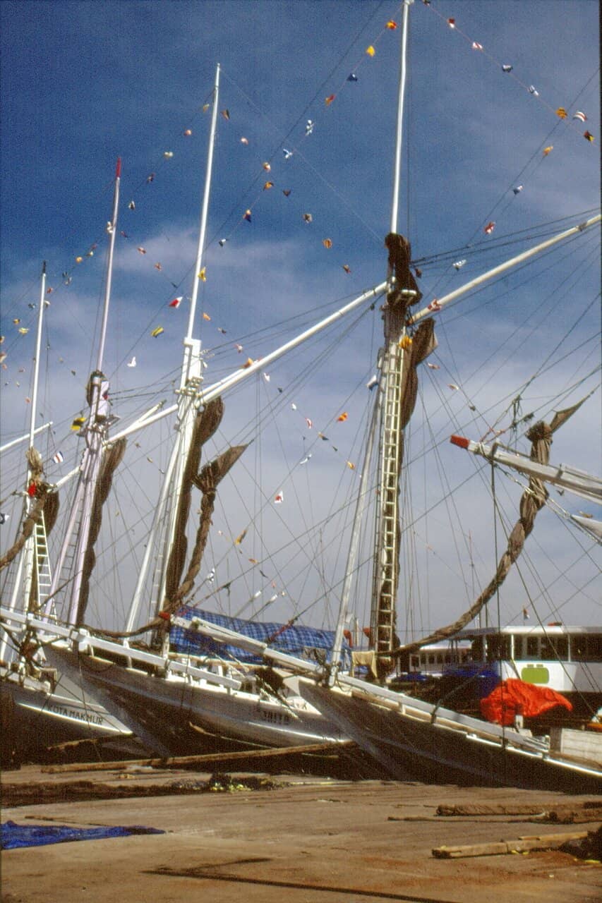 Bustling Fish Market