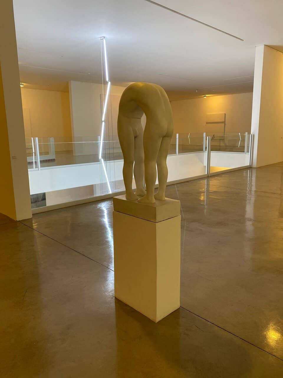 Contemporary Art Collection