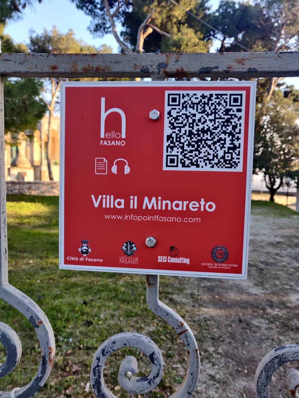 Vertical photo