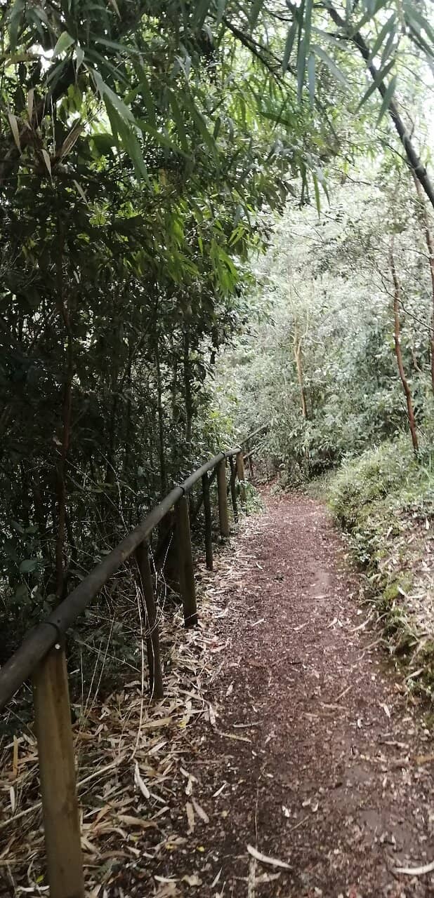 Abundant Fungi and Wildlife