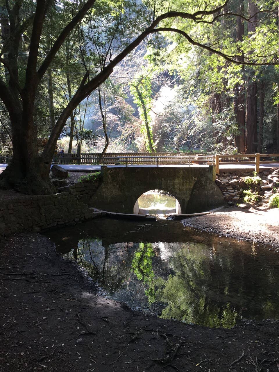 Playground & Picnic Spots