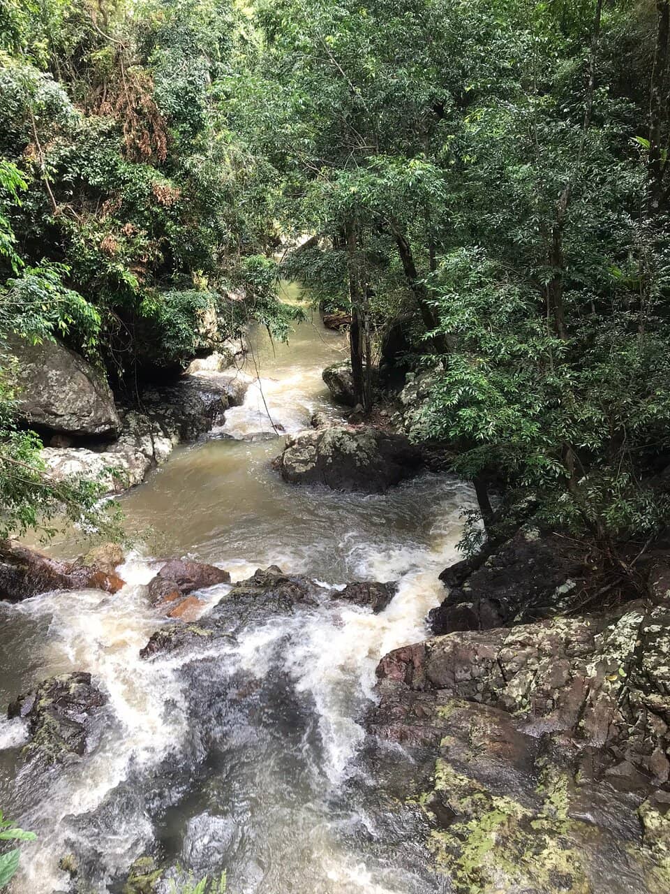 Kondalilla Falls Circuit