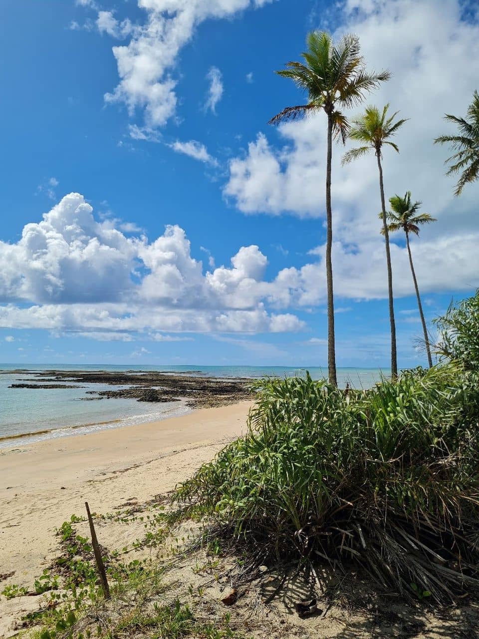 Historic Shell House Ruins