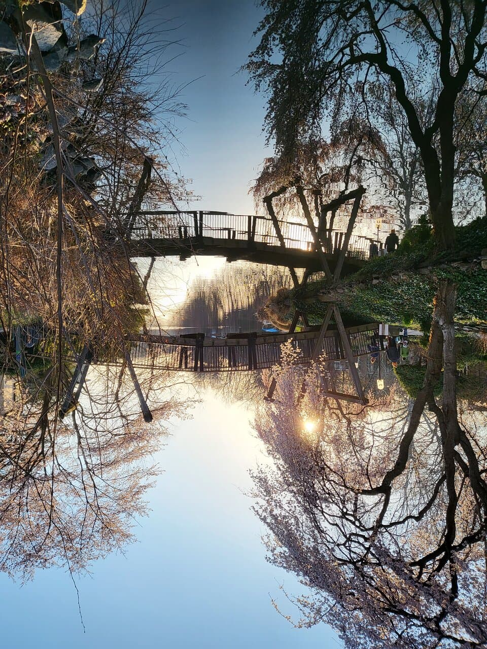 reflection in the water