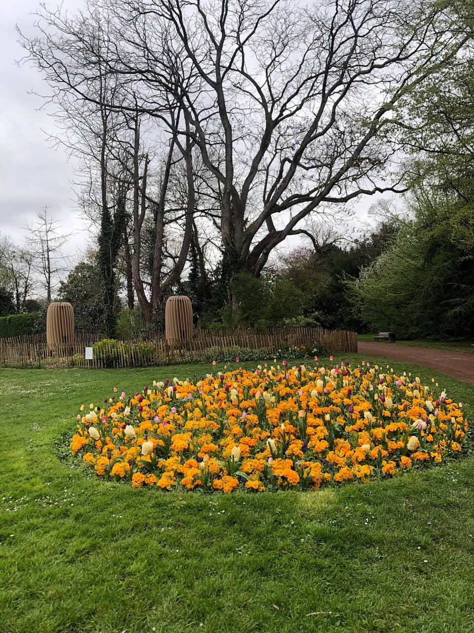 L'Orangerie Coffee Shop