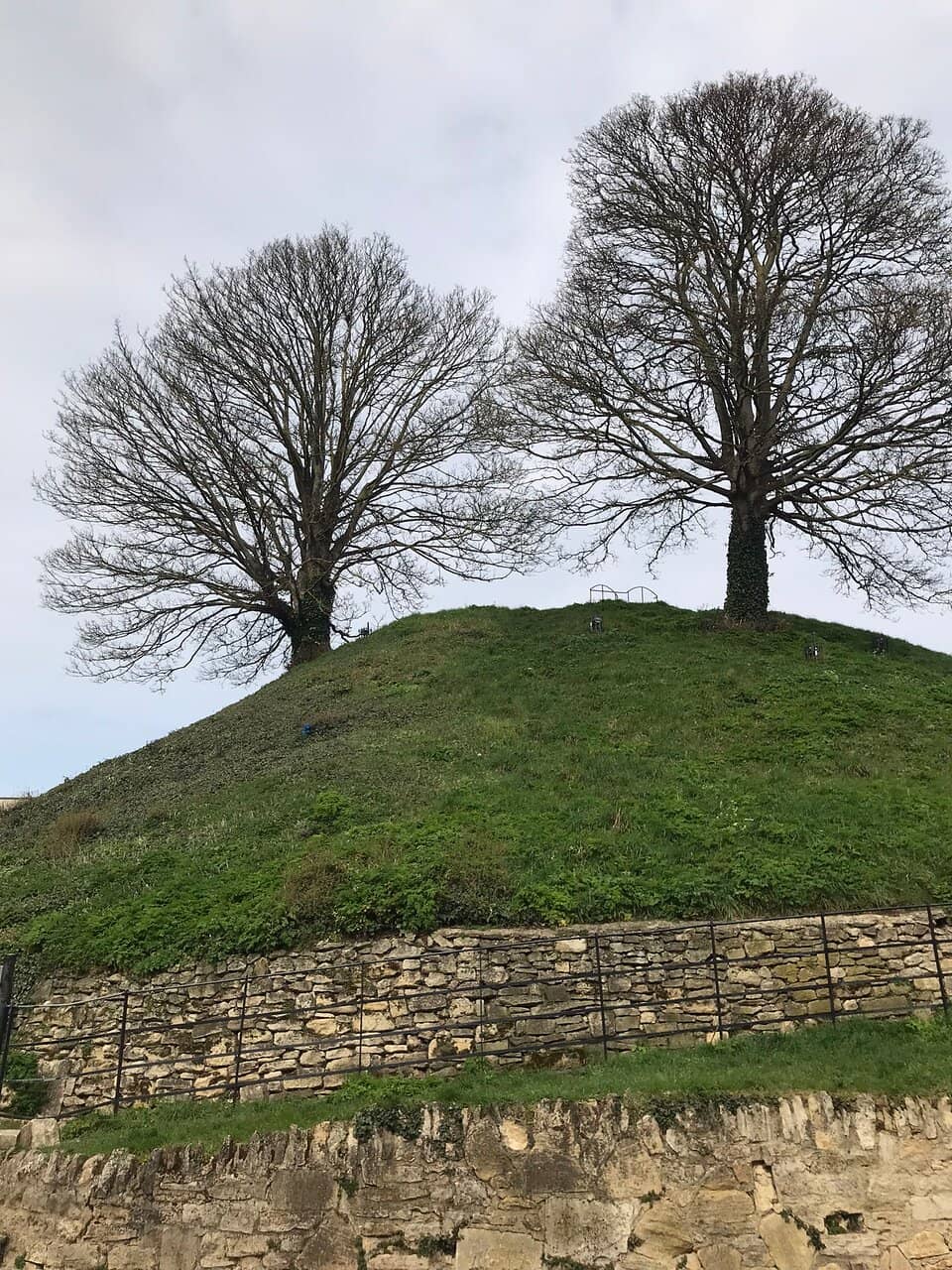 Ely Castle Mound