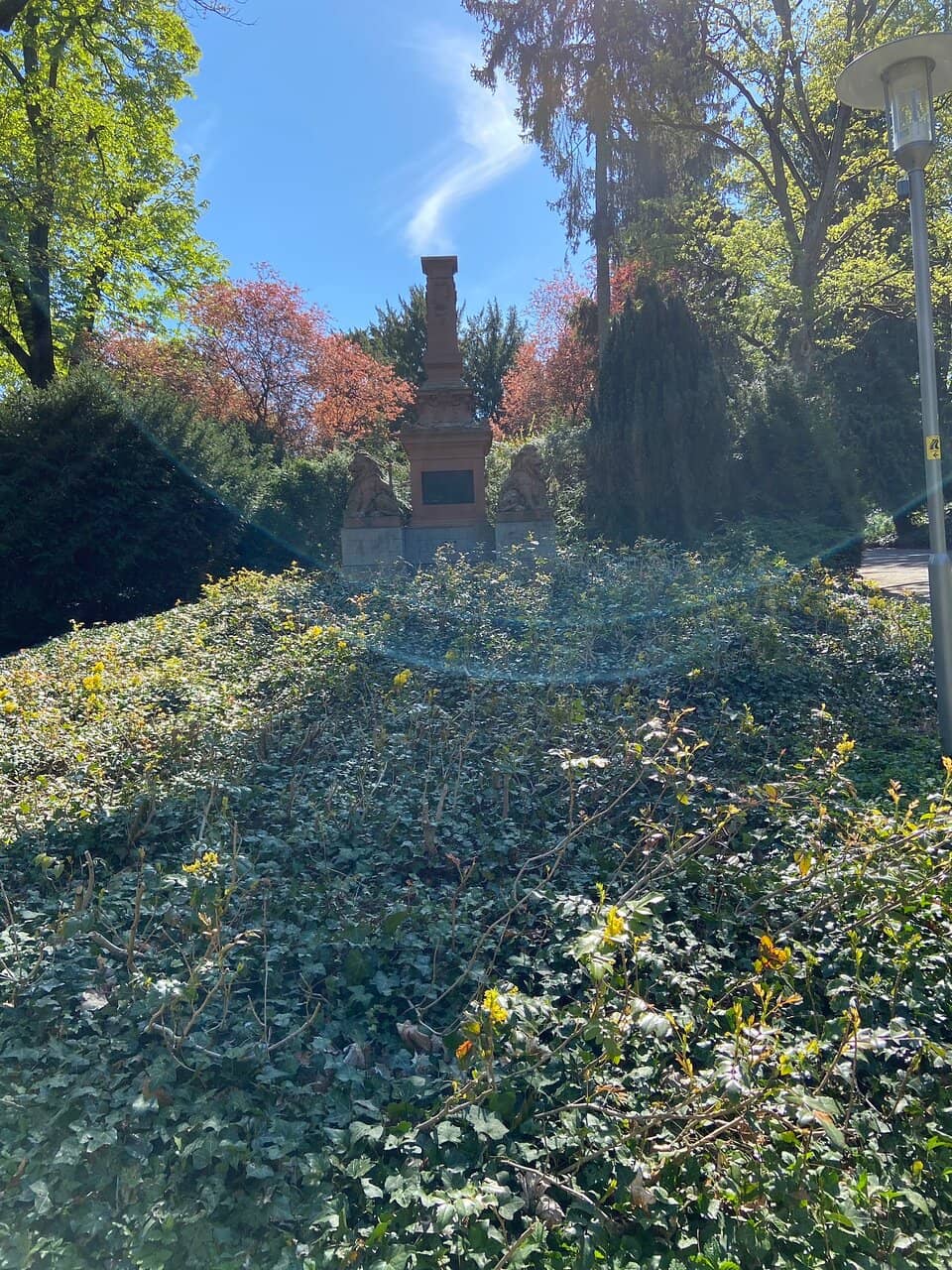 Flamingo Pond & Goats