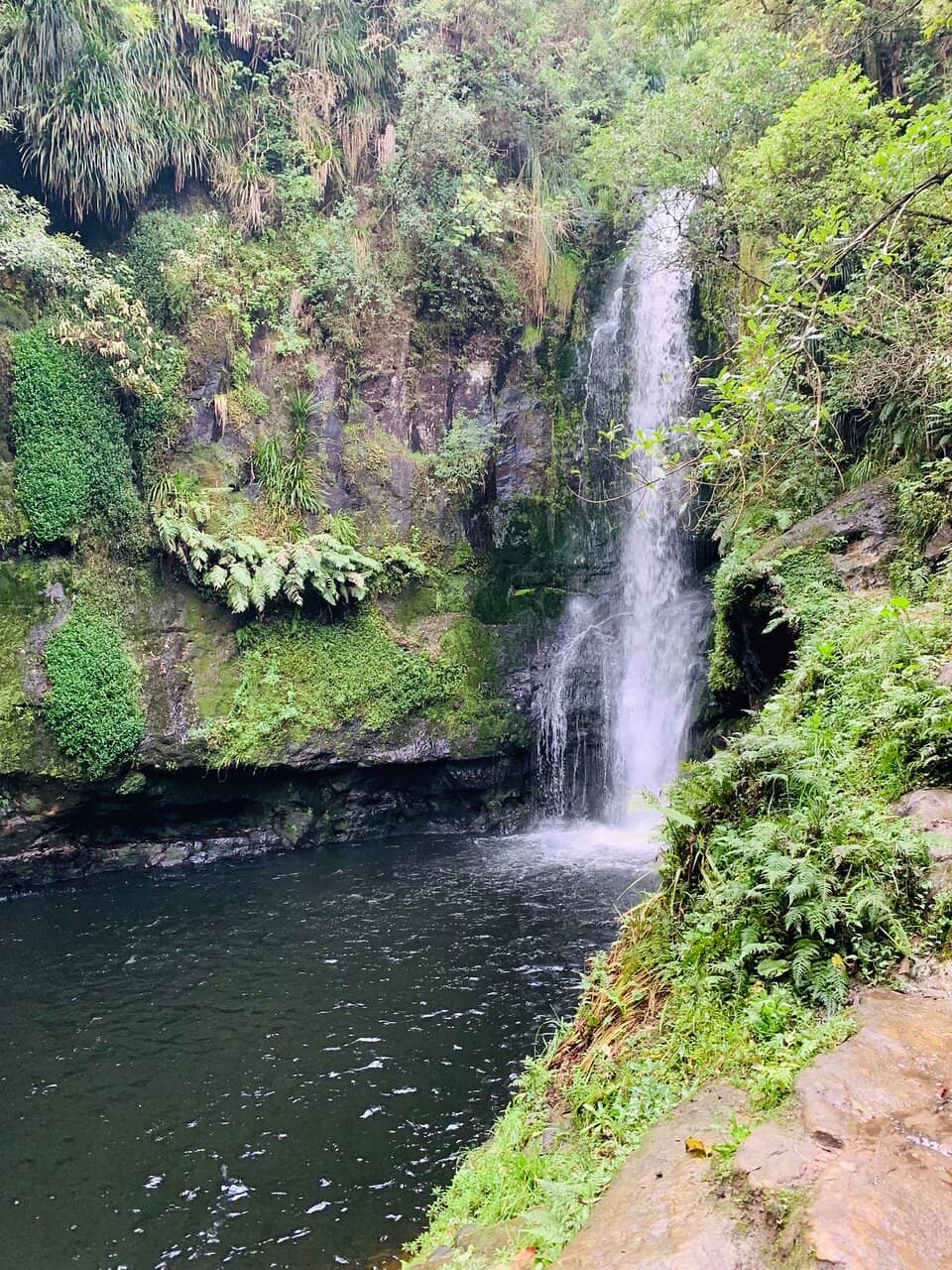 Te Rerekawau Falls