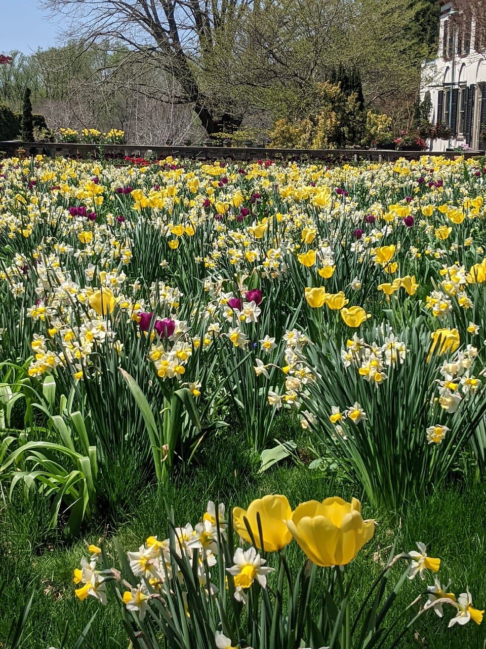 Chanticleer Garden