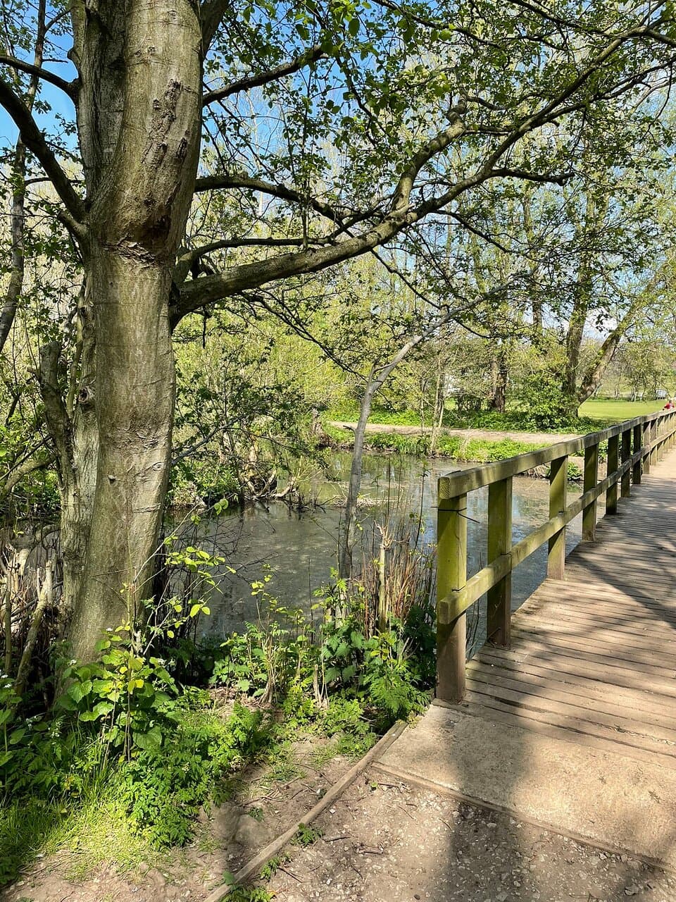 Ashbourne Memorial Gardens