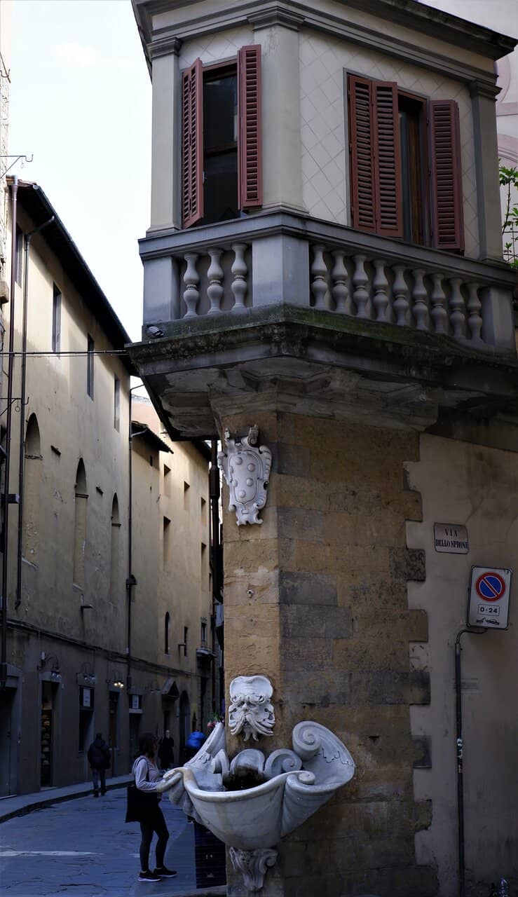 Ternana Celebrations