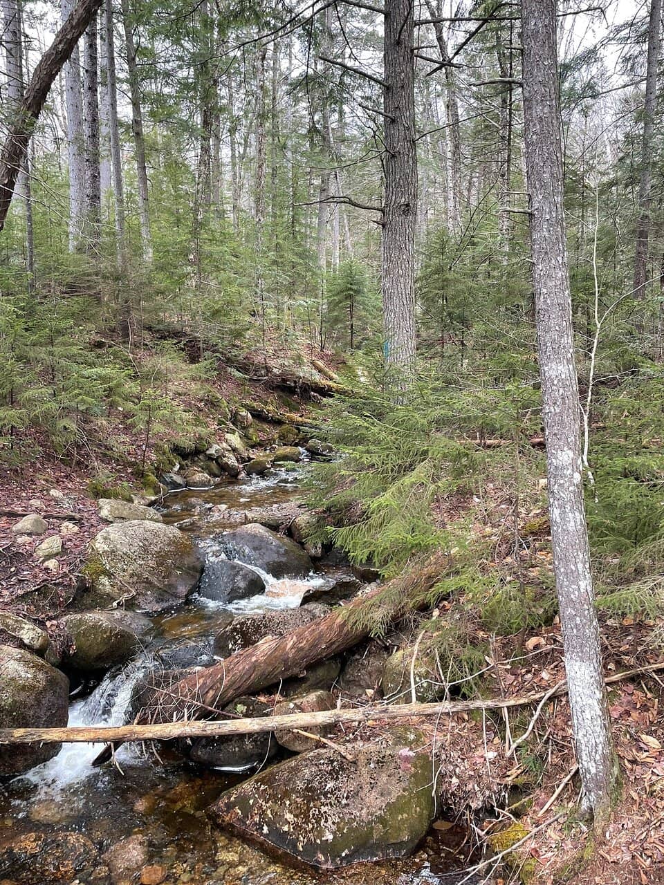Frankenstein Cliff Loop