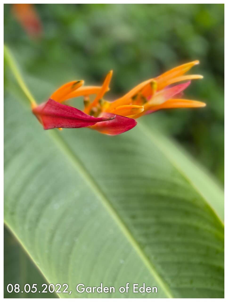 Vertical photo