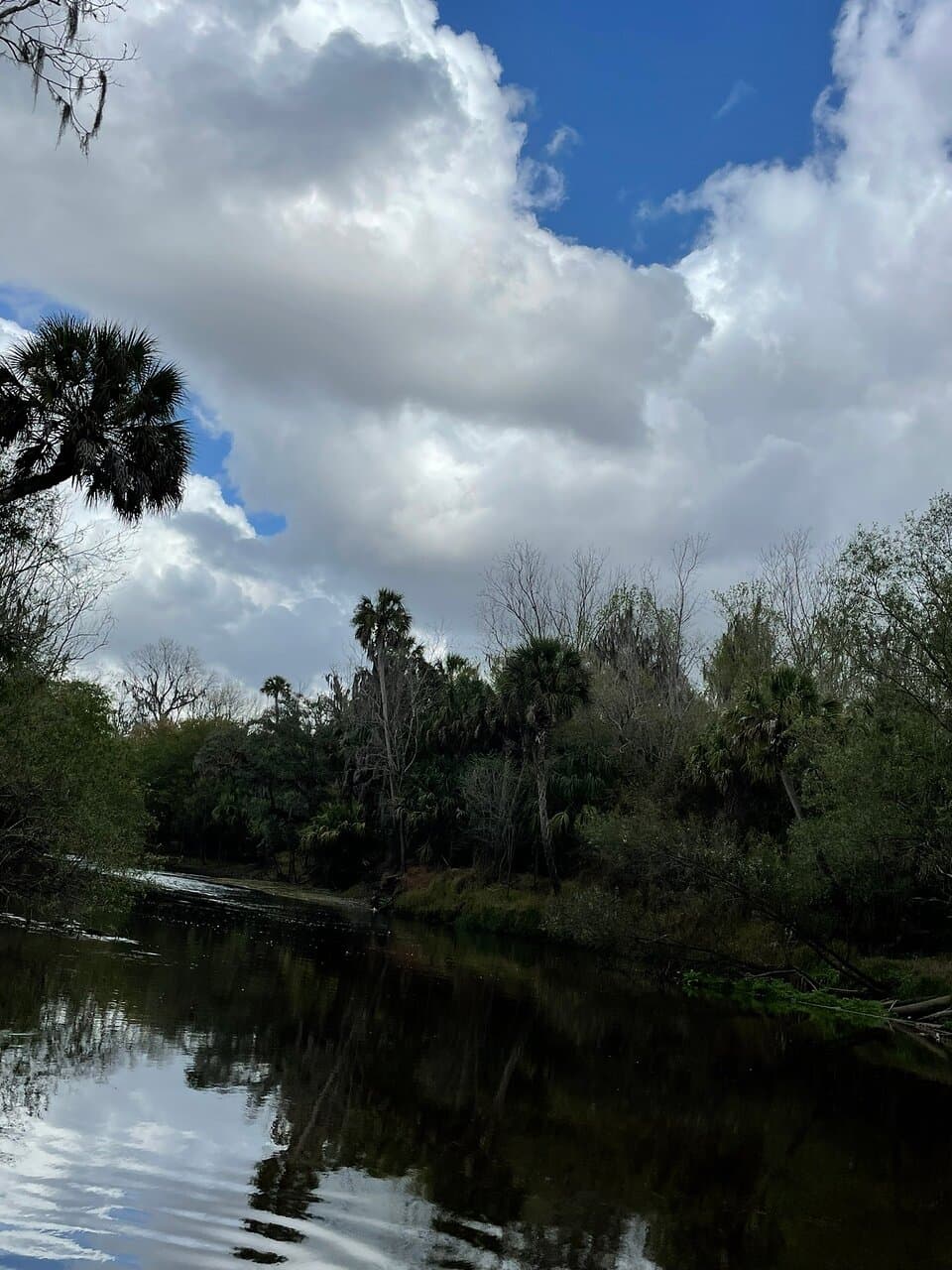 Pioneer Park Riverway