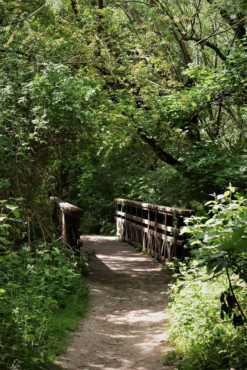 Weir Walkway