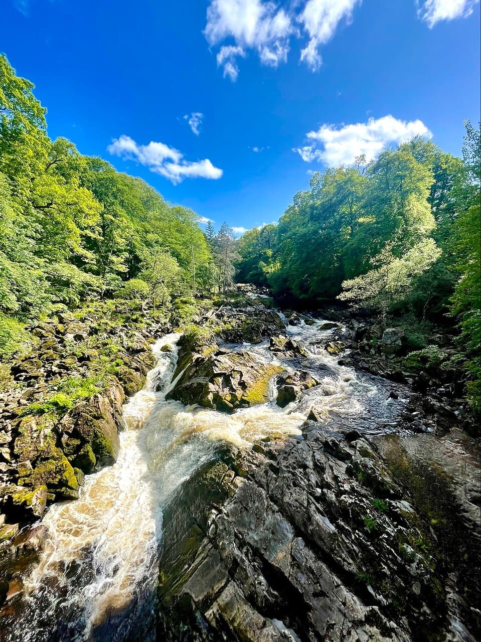 Beautiful place to stop and admire the waters of Feugh at any time of year - but especially lovely in bright May sunshine. No salmon to be seen leaping today, but watched a hawk overhead in the woodlands. Superb scenic viewpoints from the Bridge of Feugh , which is a 3 span road bridge from the late 18th century. Itβs a narrow, busy road - so be careful of traffic , and keep close to the refuges in the parapets.