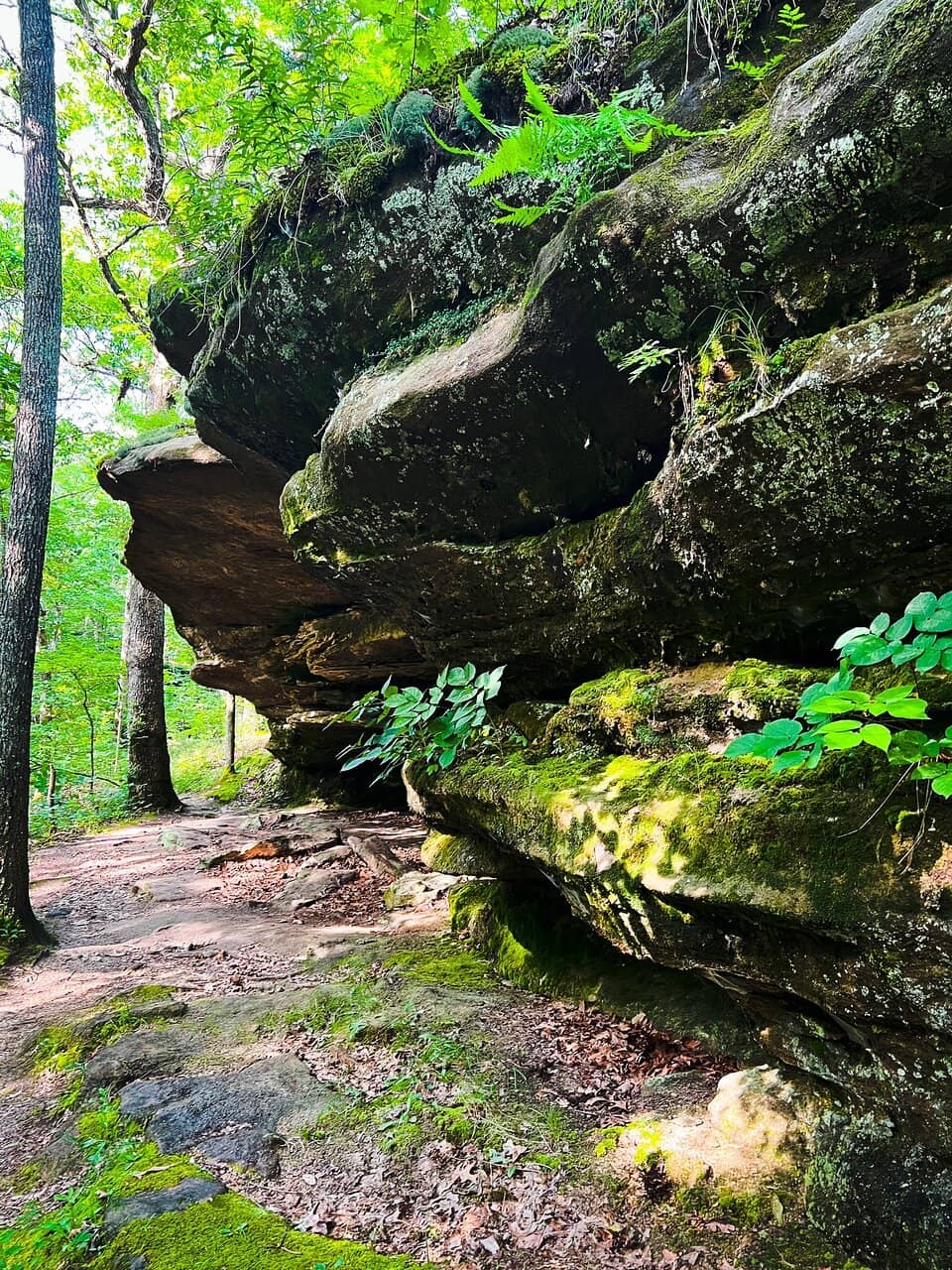 Rocky Path Exploration