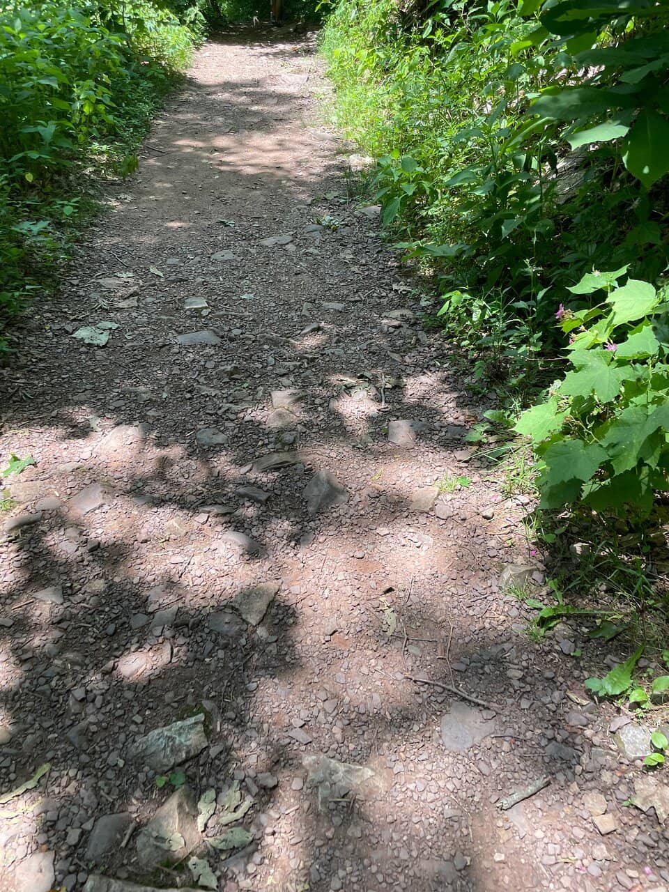 Upper Trail Path