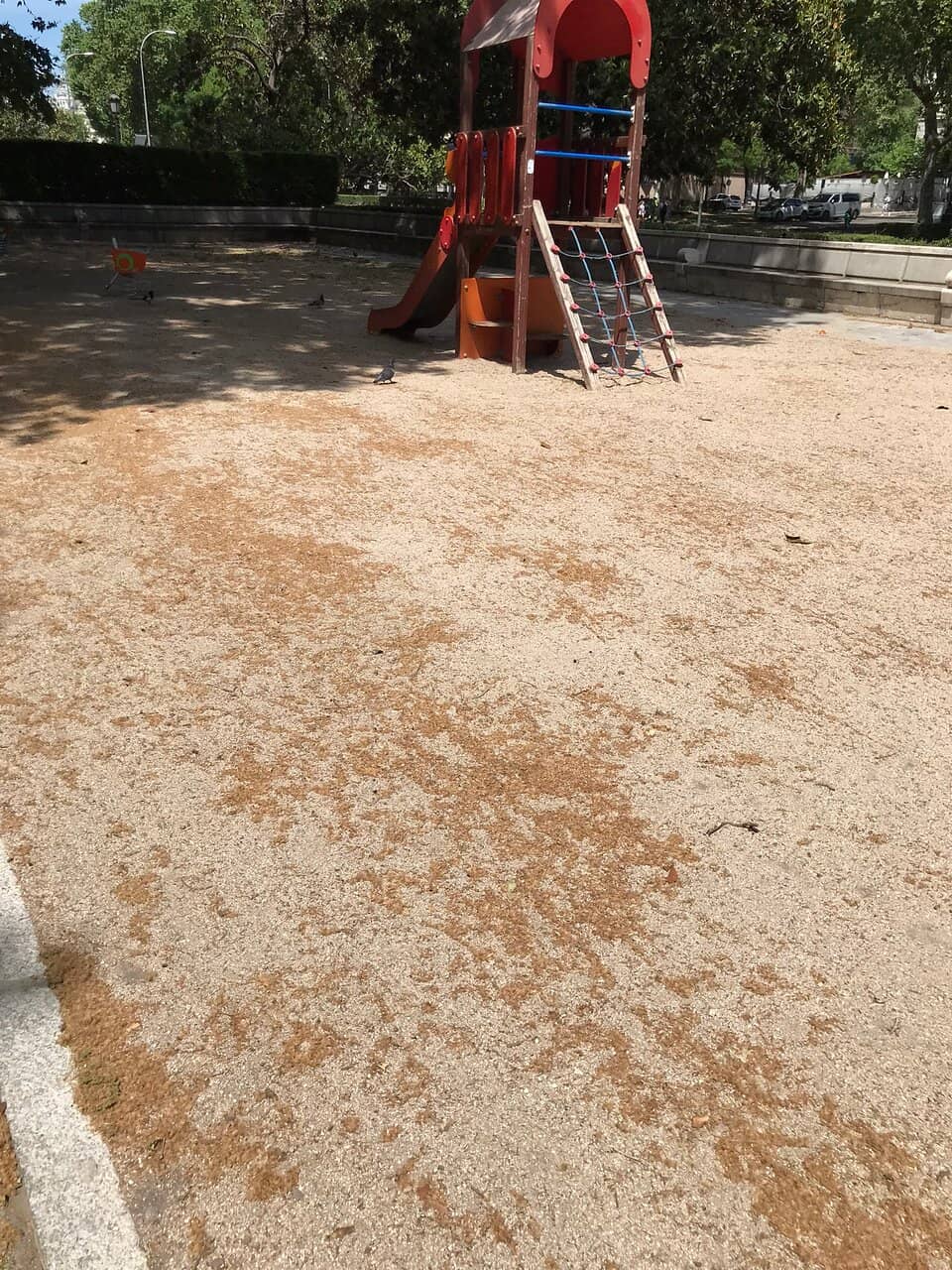 Vertical photo