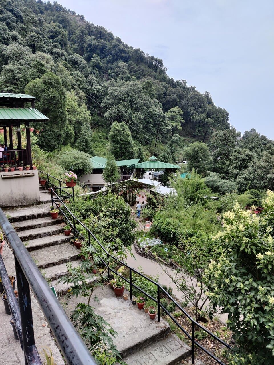 A view of part of the gardens