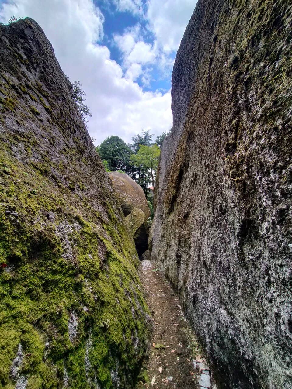 Vertical photo