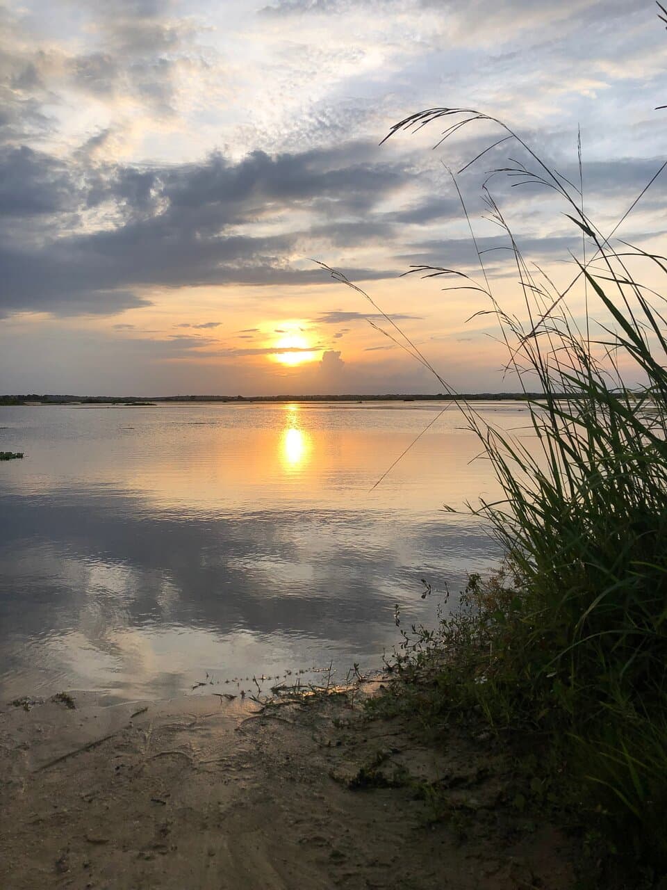 Sunset. You must watch this. They're very beautiful.