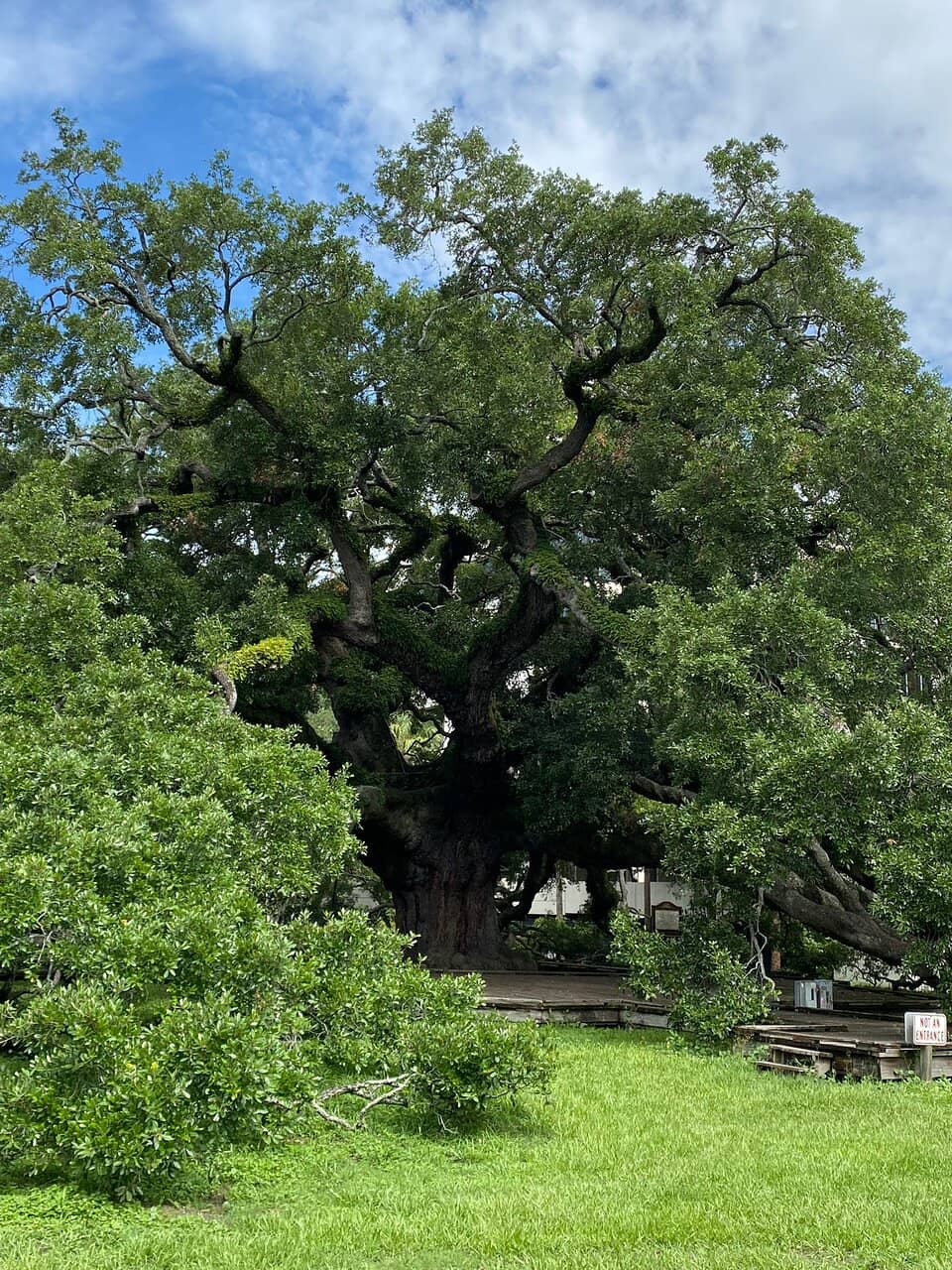 Historical Significance