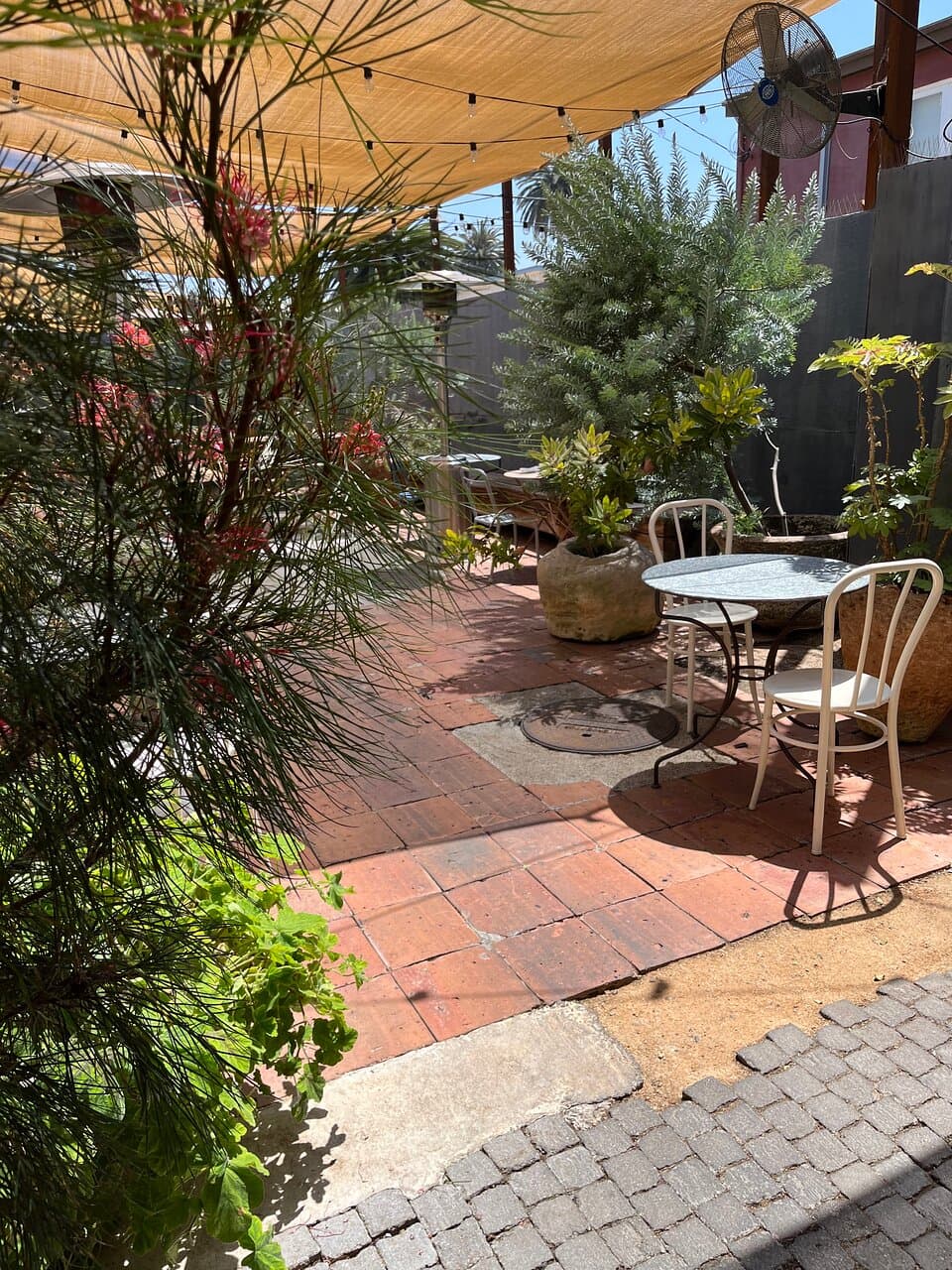 the cute patio