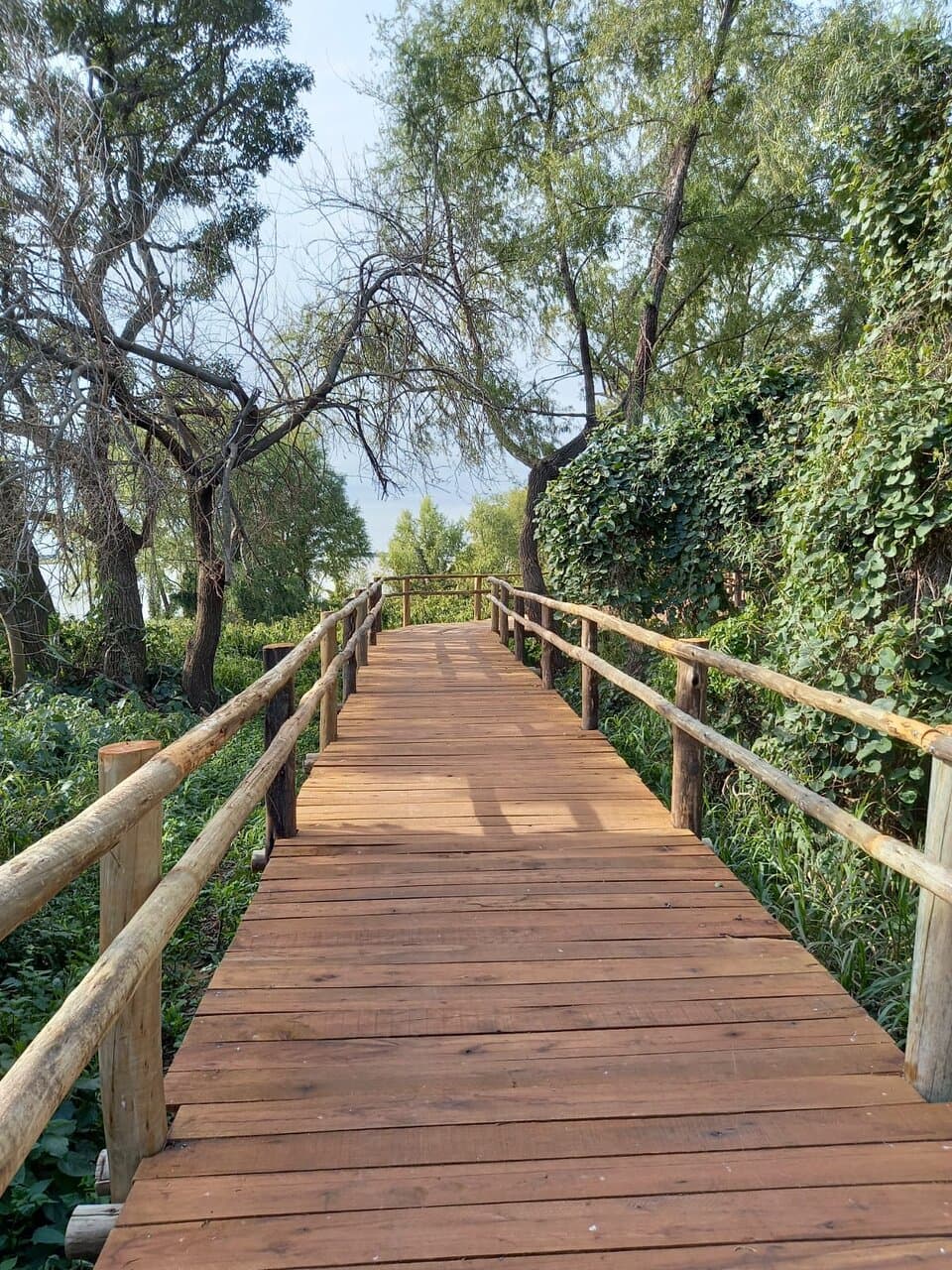sendero