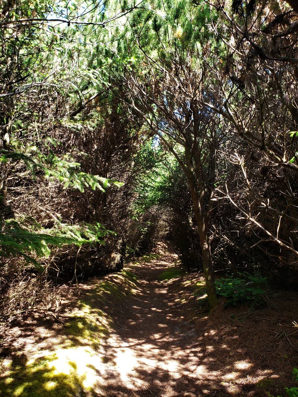 Vertical photo
