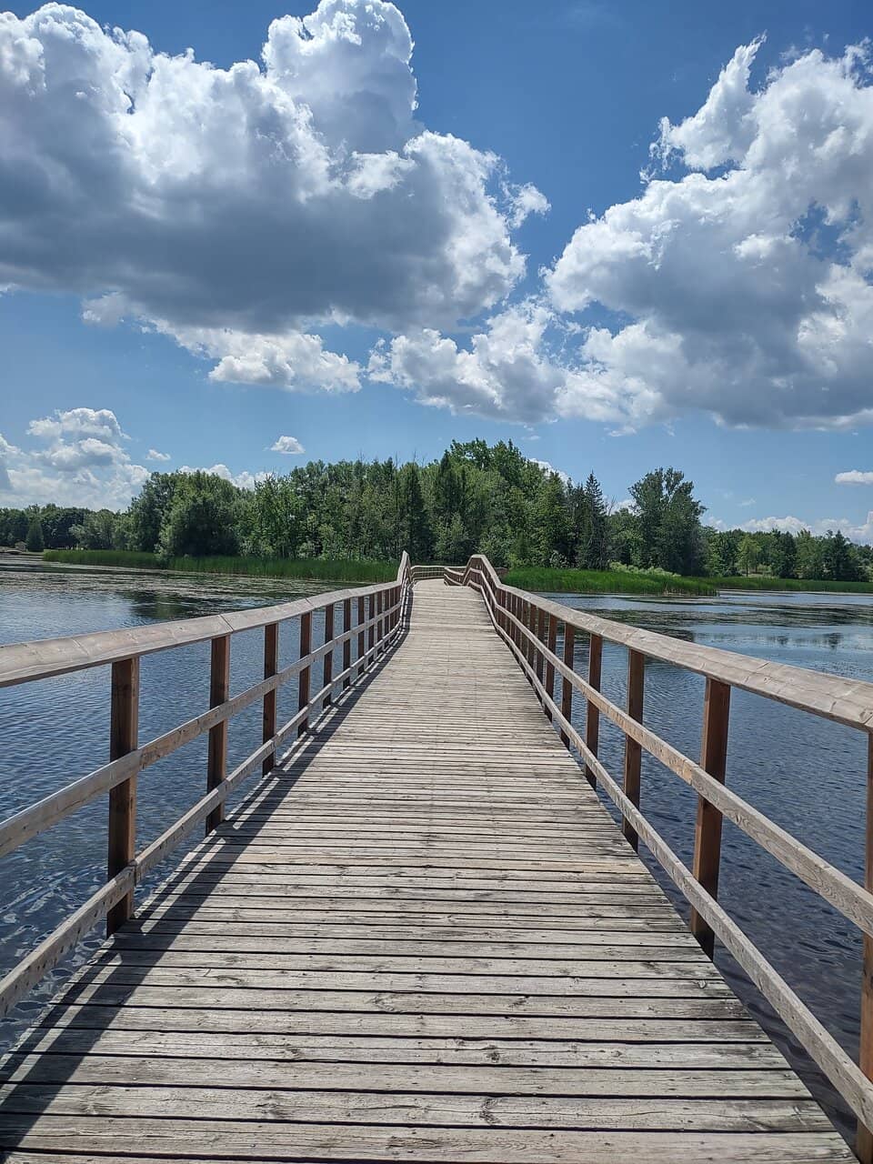 Wetland Boardwalk Trail