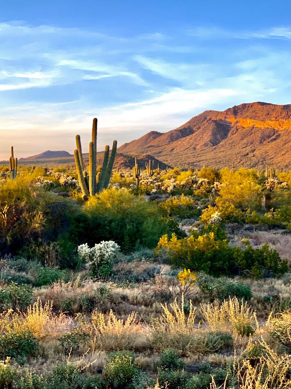 Usery Mountain Regional Park