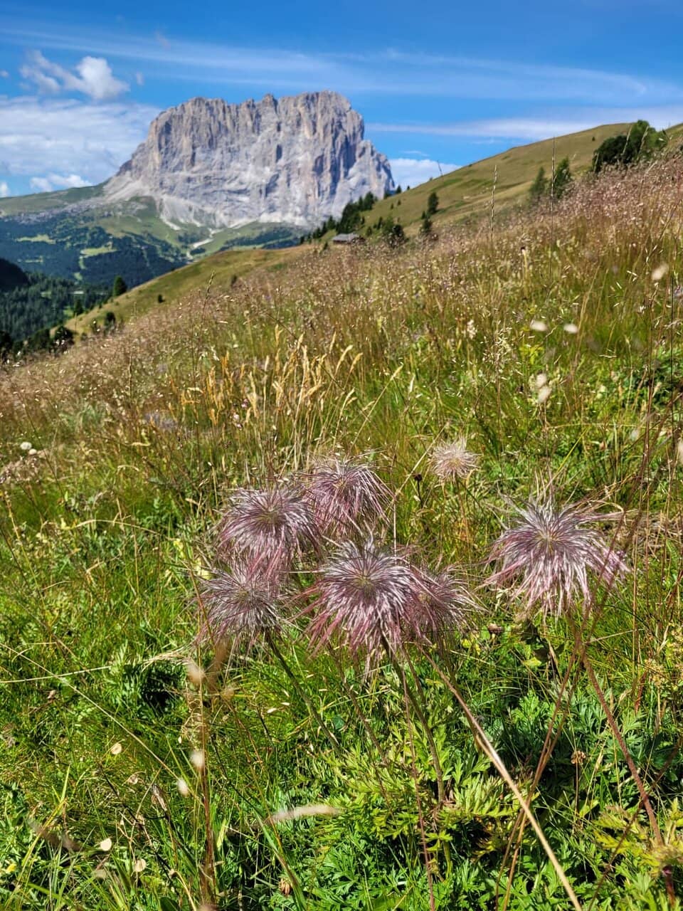 Breathtaking Mountain Views