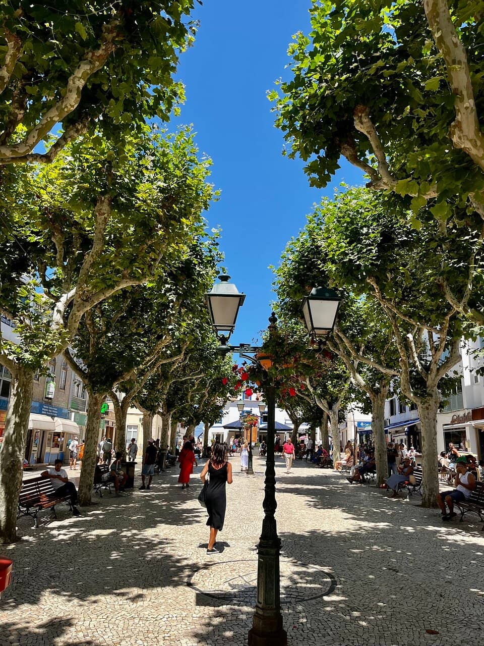 Live Music & Local Artists