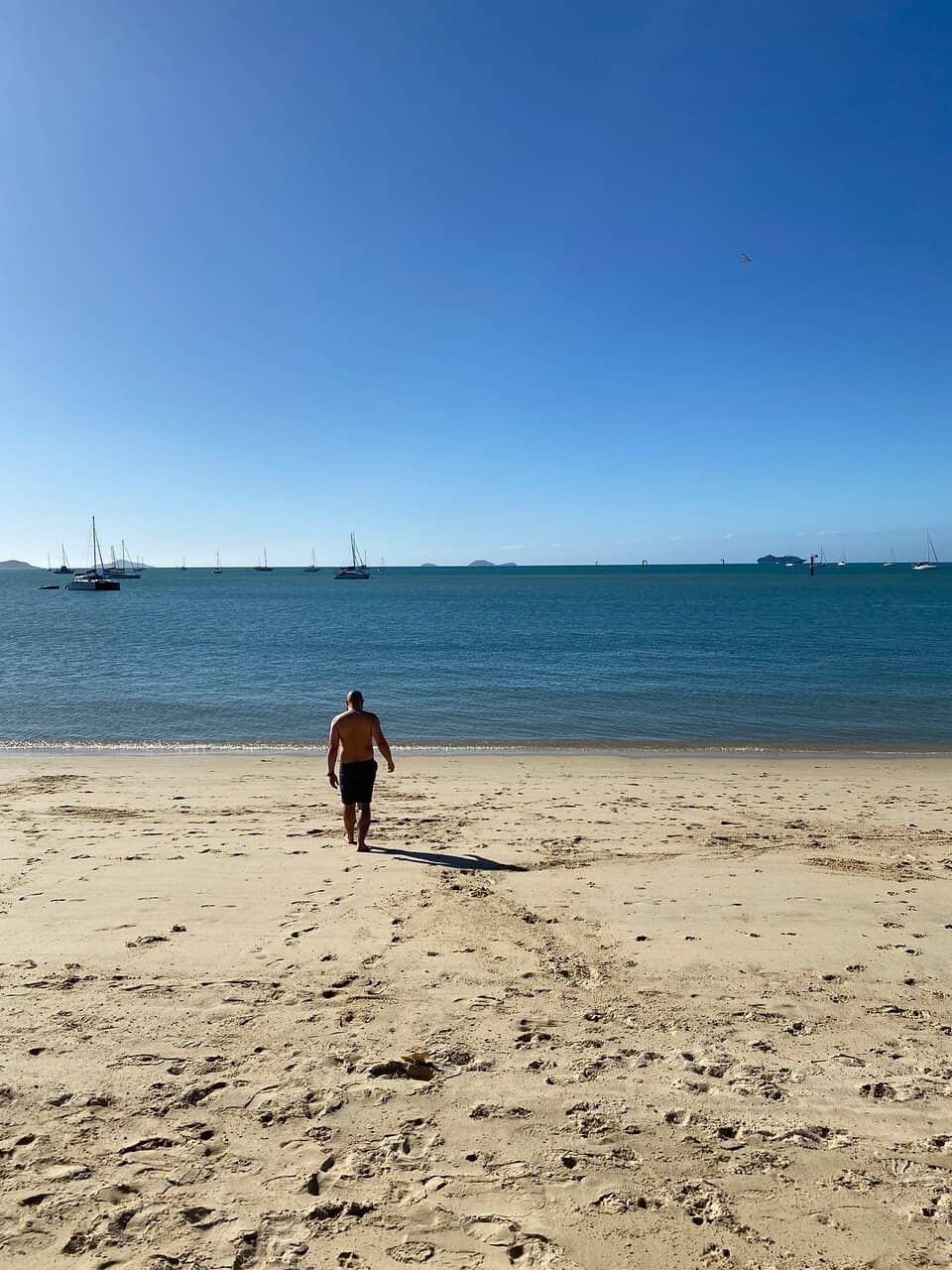 Scenic Coastal Views