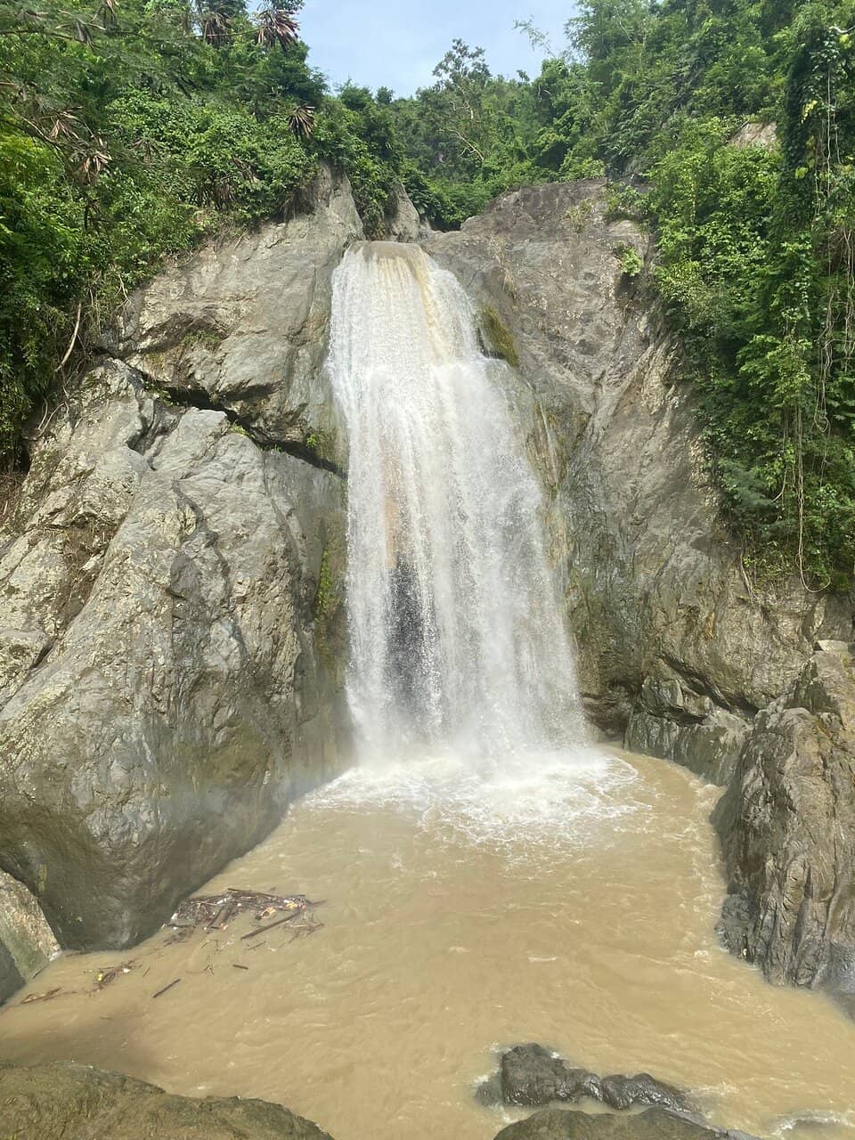 Vertical photo