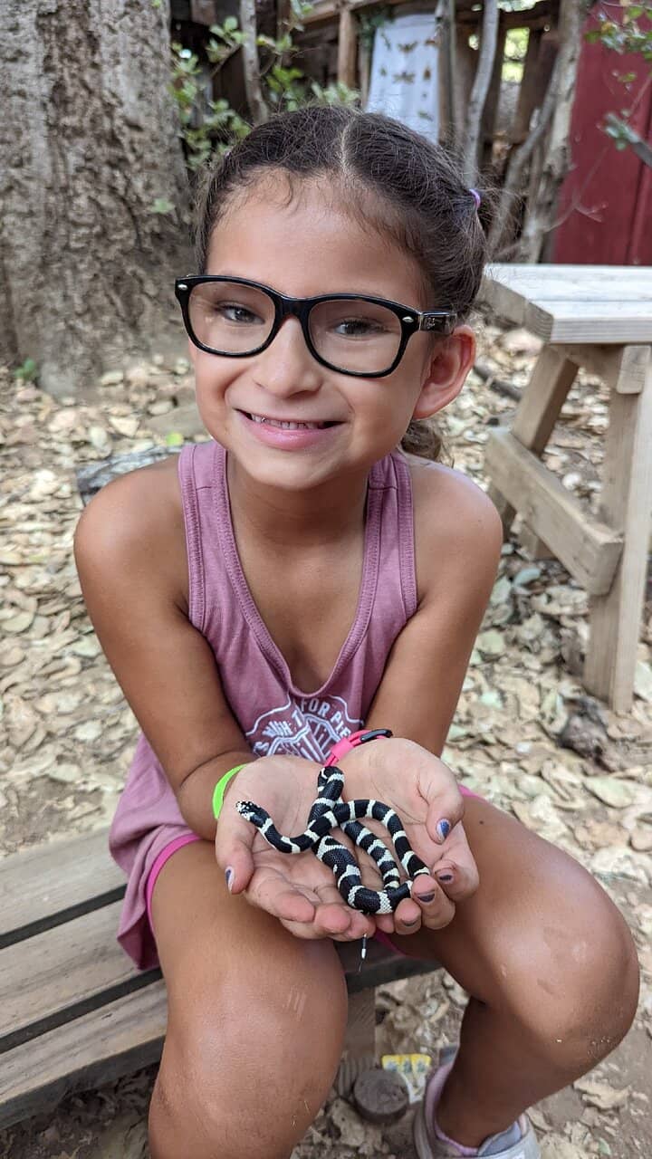 Reptile Encounters