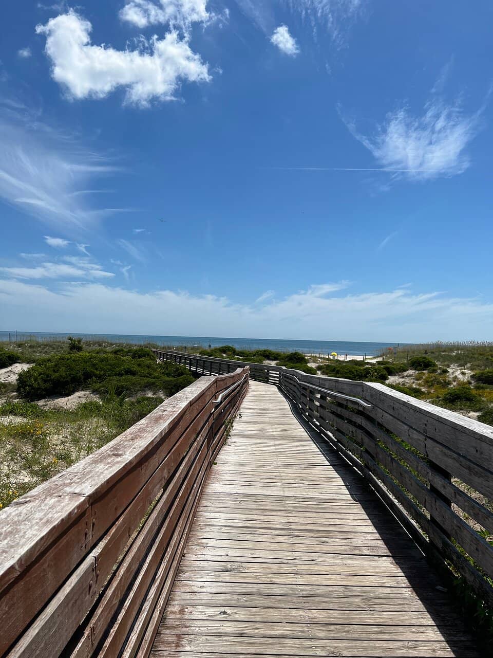 Uncrowded Shores