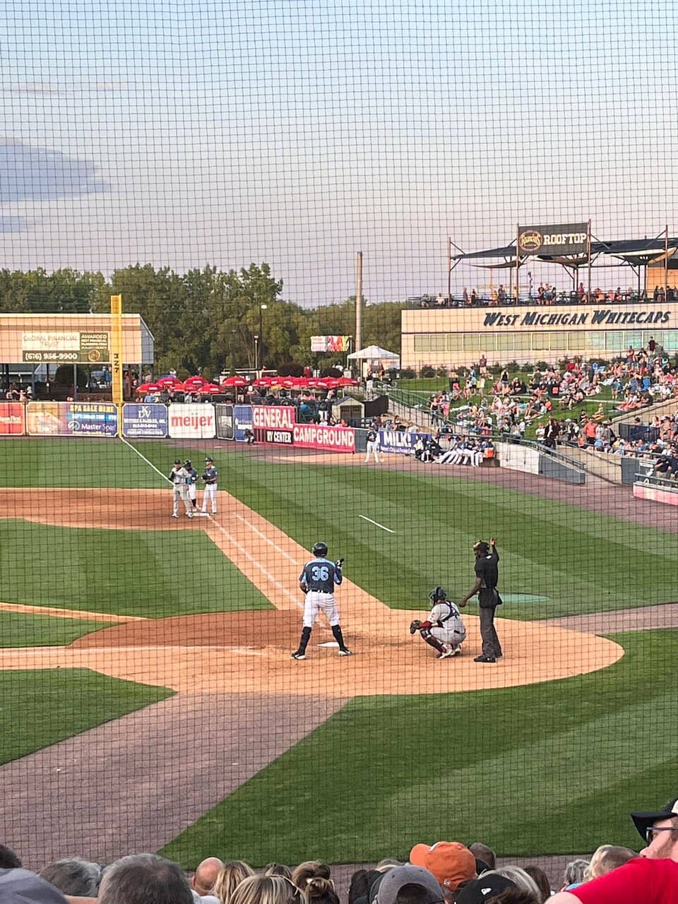 Concerts & Festivals