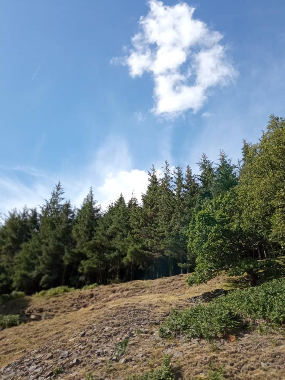The Reservoir Loop