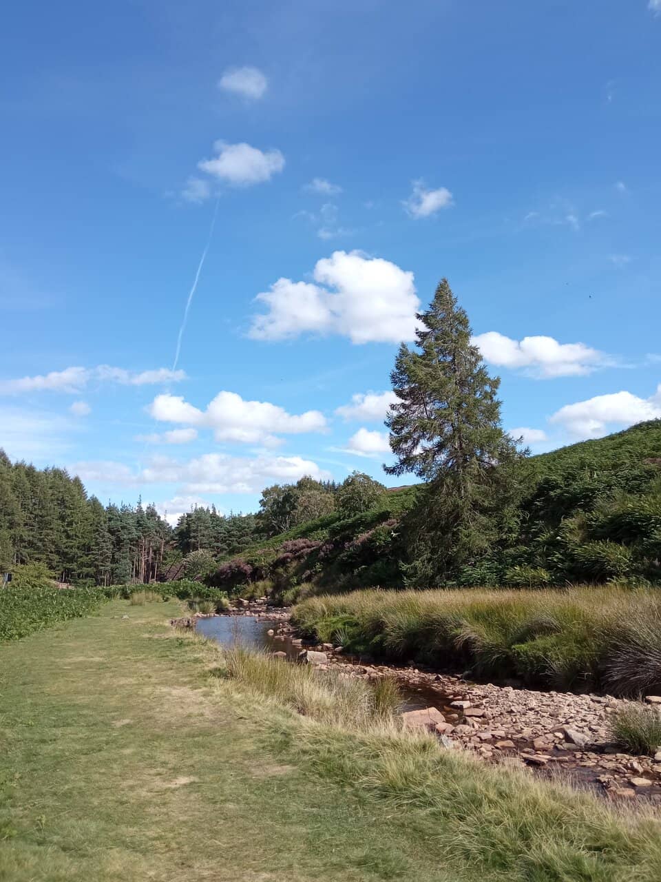 Woodland Trails