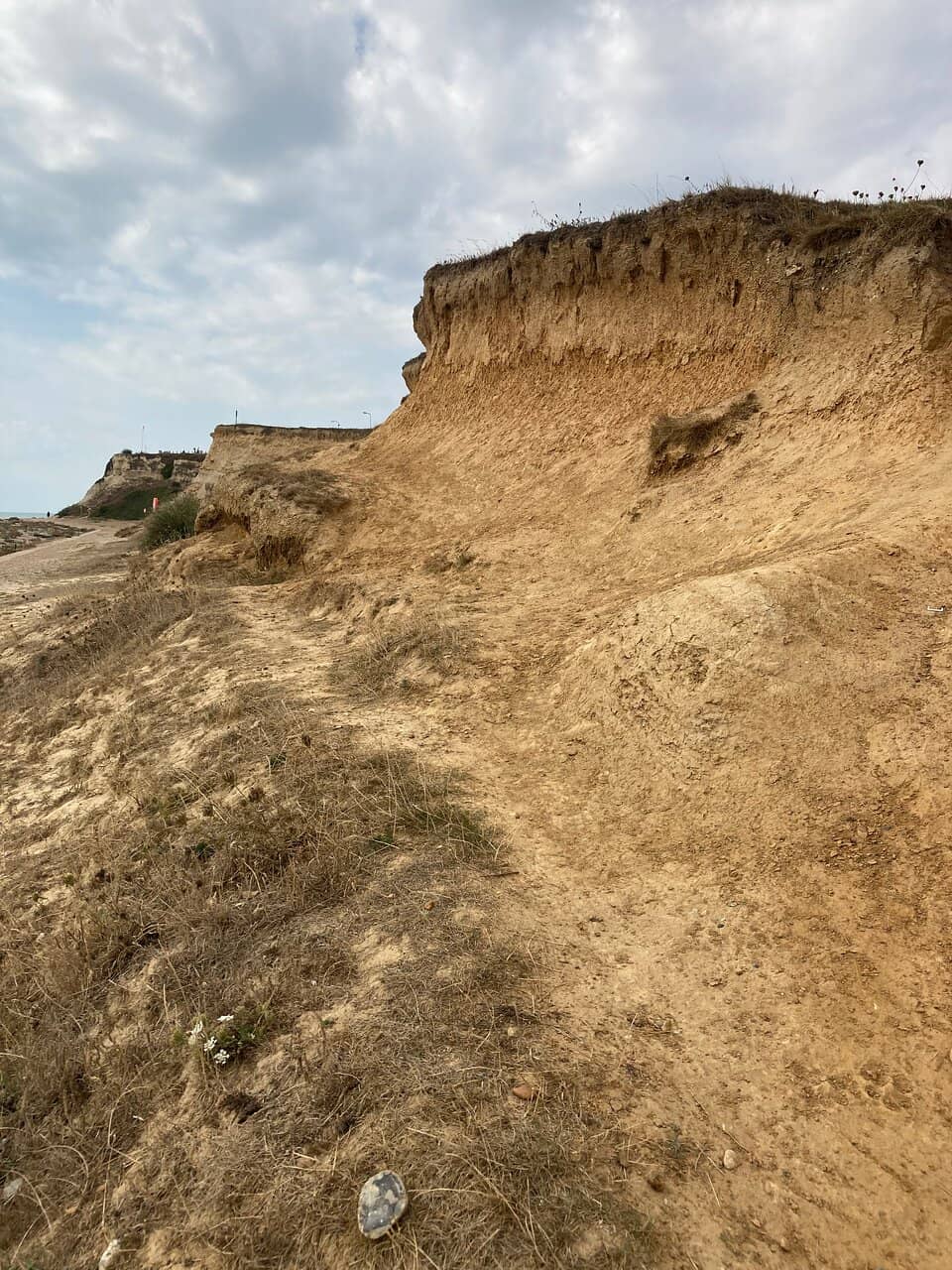 Low Tide Sands