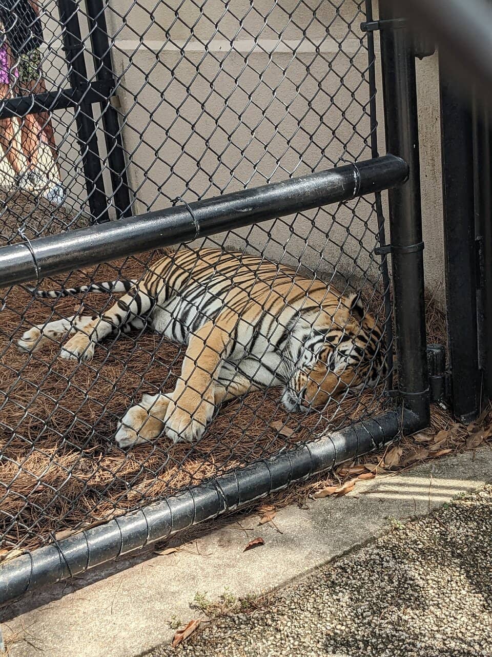 Mike VII's State-of-the-Art Habitat