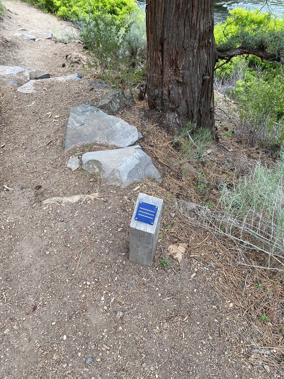 Picnic Areas